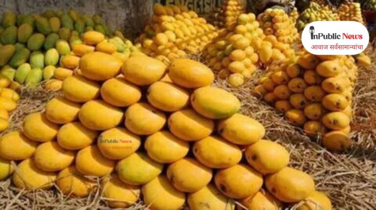 hapus mango