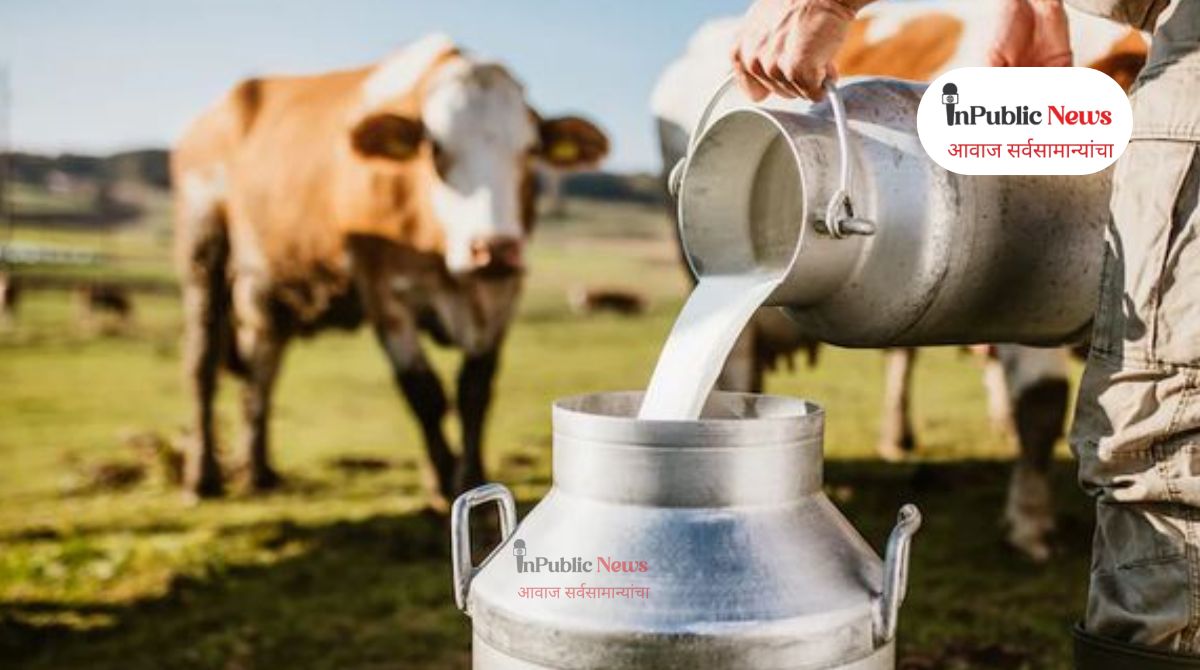 dairy