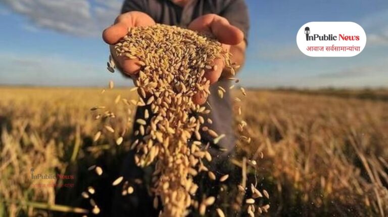 wheat