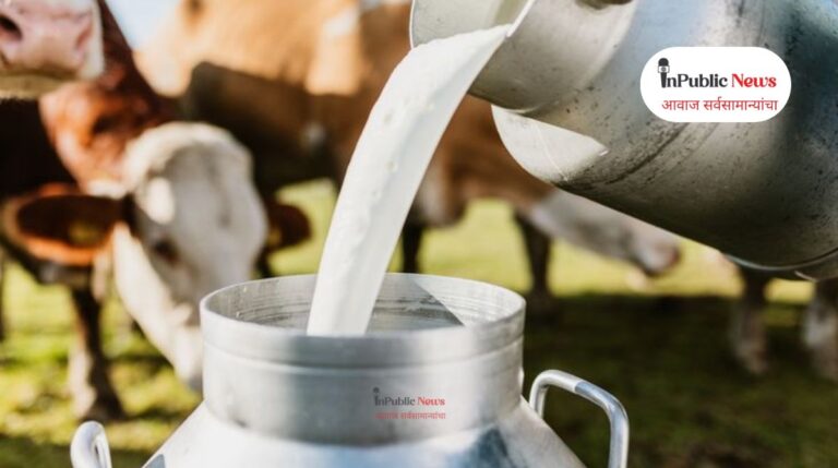 milk production