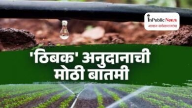 irrigation scheme