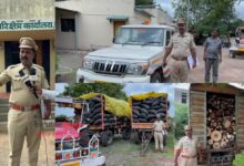 Forest Department