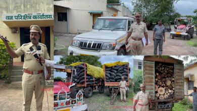Forest Department
