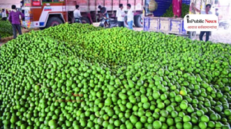 Mosambi Market