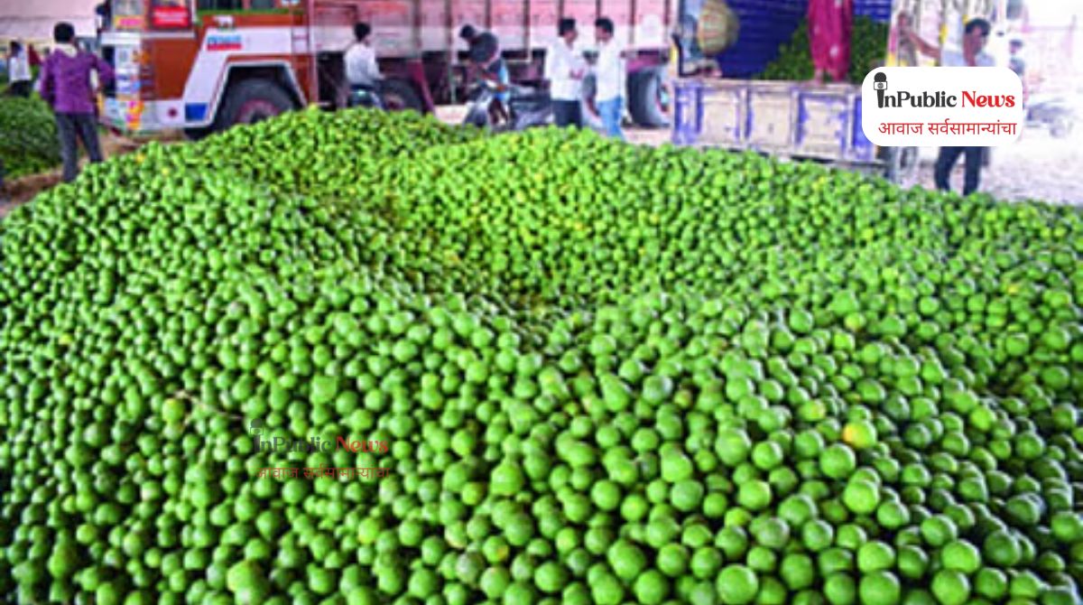 Mosambi Market