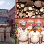Forest Department : वनविभागाची मोठी कारवाई; विनापरवाना वाहतुक ट्रक १३ टन मालासह जप्त