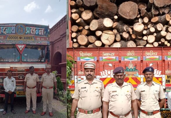 Forest Department : वनविभागाची मोठी कारवाई; विनापरवाना वाहतुक ट्रक १३ टन मालासह जप्त
