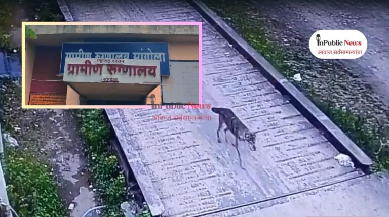 लांडगा सदृश्य प्राण्याकडून ८ ते १० लोकांवर जीवघेणा हल्ला;ग्रामीण रुग्णालयात रुग्णांवर मात्र उपचार नाही?