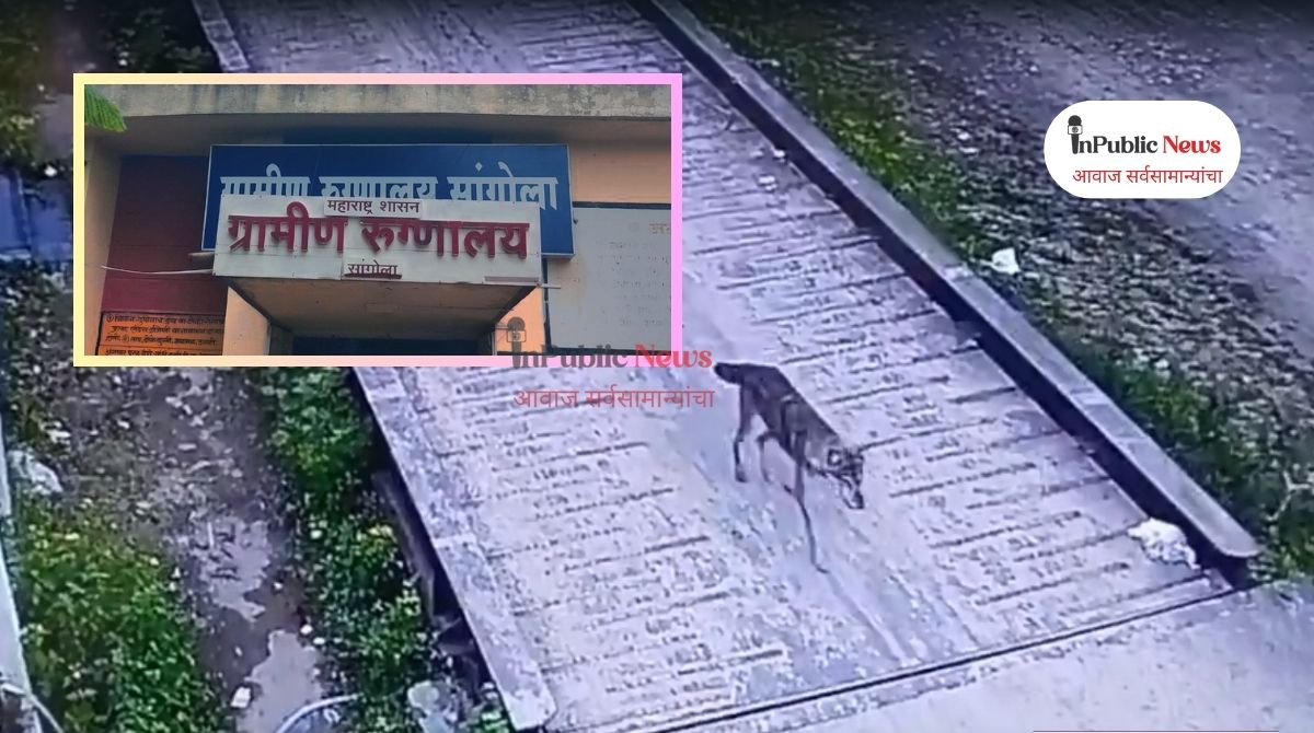 लांडगा सदृश्य प्राण्याकडून ८ ते १० लोकांवर जीवघेणा हल्ला;ग्रामीण रुग्णालयात रुग्णांवर मात्र उपचार नाही?