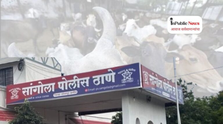 सांगोला पोलिसांची अवैध कत्तल प्रकरणी मोठी कारवाई; ८.८० लाखांचा मुद्देमाल ताब्यात