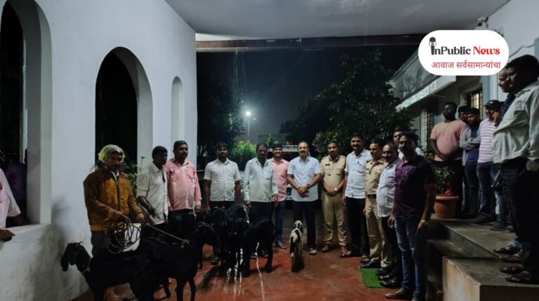 सांगोला पोलिसांची शिताफीने कारवाई : जनावर चोरीतील तिघे अटकेत, जवळपास ४ लाख ९० हजारांचा मुद्देमाल जप्त