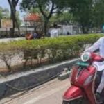सोलापूर जिल्हाधिकारी कार्यालयाचा ‘नो व्हेईकल डे’ उपक्रम पर्यावरण संवर्धनासाठी अधिकारी-कर्मचाऱ्यांचा उत्स्फूर्त प्रतिसाद