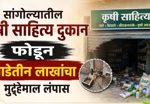 सांगोल्यात कृषी साहित्य दुकानावर धाडसी चोरी  ३.४६ लाखांचा मुद्देमाल लंपास व्यापाऱ्यांत भीतीचे वातावरण 
