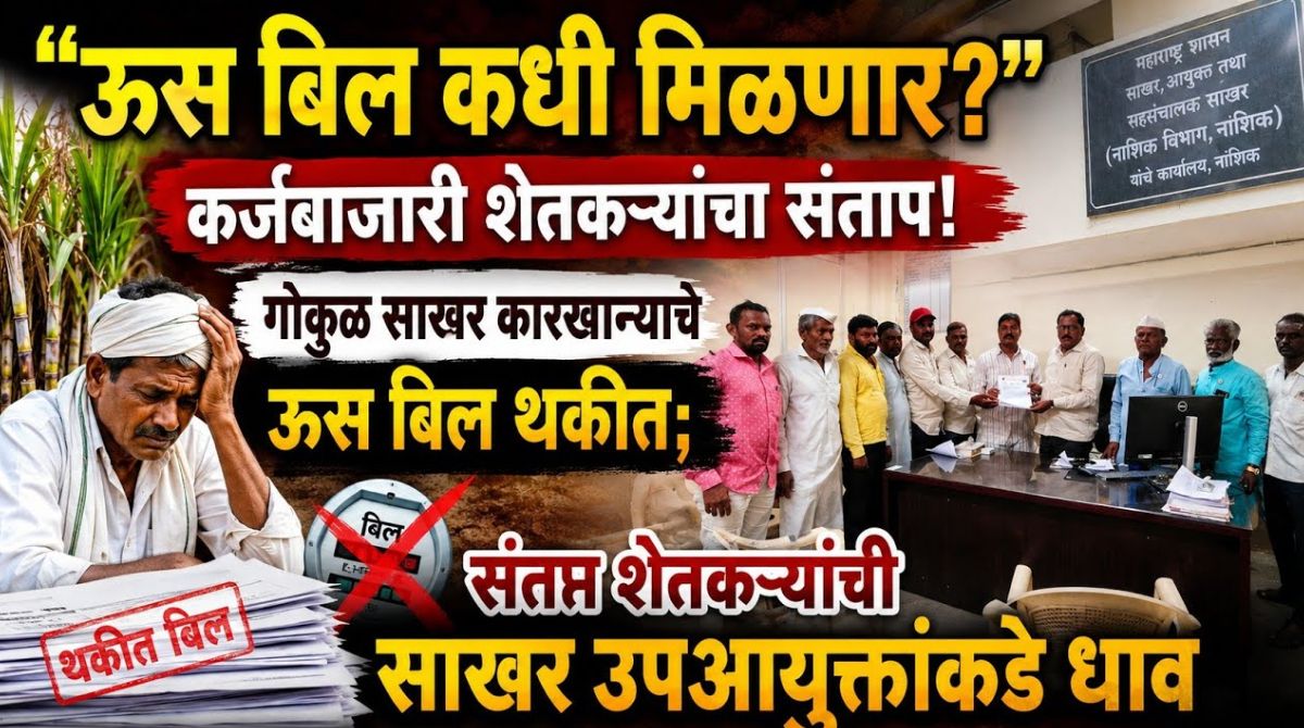 गोकुळ शुगर कारखान्याकडे ऊस बिल थकित  दहा दिवसांपासून शेतकऱ्यांचे उपोषण सुरू प्रशासनाच्या भूमिकेकडे लक्ष