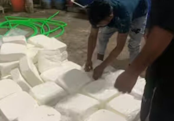  अन्न सुरक्षा मोहिमेची धडक; 31 लाखांहून अधिक किमतीचा पनीर व खाद्यसाठा जप्त