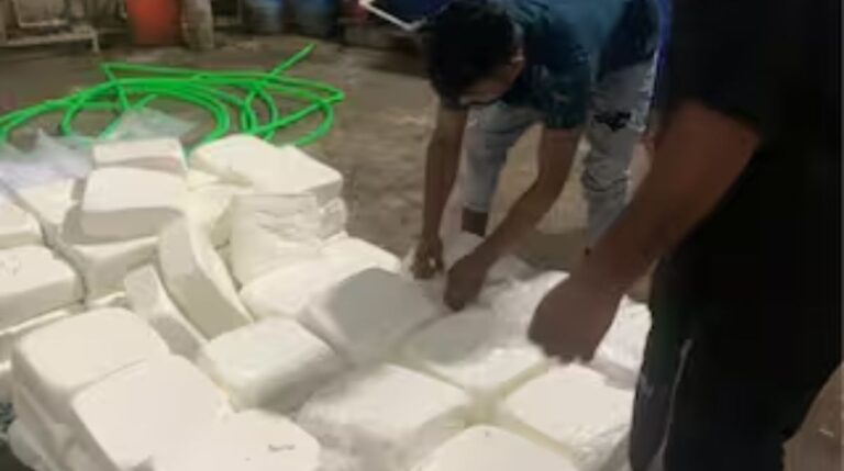  अन्न सुरक्षा मोहिमेची धडक; 31 लाखांहून अधिक किमतीचा पनीर व खाद्यसाठा जप्त