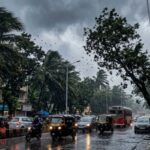 पावसात झाडाखाली थांबू नका, वाहने उभी करू नका; BMCच्या उद्यान विभागाकडून नागरिकांना आवाहन