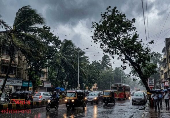 पावसात झाडाखाली थांबू नका, वाहने उभी करू नका; BMCच्या उद्यान विभागाकडून नागरिकांना आवाहन