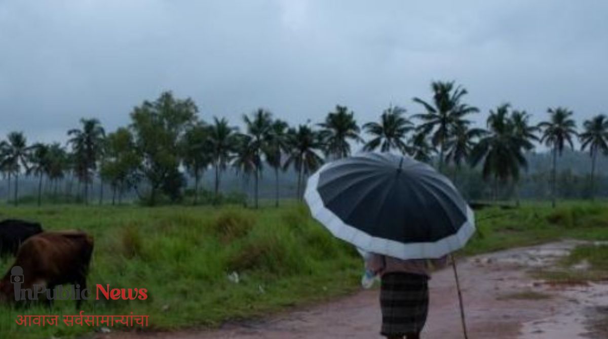 १४६ वर्षांतील सर्वात कोरडा जून! महाराष्ट्रात मुसळधार पावसाची भरपाई होणार का?