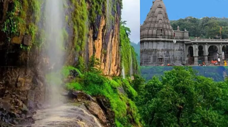 मुसळधार पावसाचा कहर; भीमाशंकर, माळशेज घाटसह पर्यटनस्थळांवर प्रवेशबंदी, प्रशासनाचा कडक निर्णय