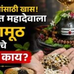 श्रावण विशेष : शिवभक्तांसाठी खास! श्रावणात महादेवाला शिवामूठ वाहण्याचे महत्त्व काय? जाणून घ्या संपूर्ण परंपरा
