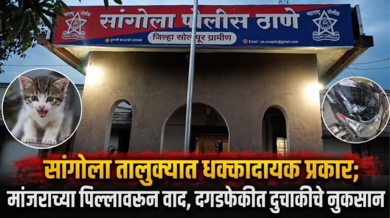सांगोला तालुक्यात धक्कादायक प्रकार; मांजराच्या पिल्लावरून वाद, दगडफेकीत दुचाकीचे नुकसान