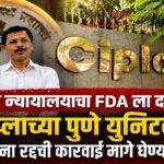 उच्च न्यायालयाचा FDA ला दणका; सिप्लाच्या पुणे युनिटवरील परवाना रद्दची कारवाई मागे घेण्याची तयारी