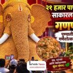 २१ हजार पाणीपुरींपासून साकारला १३ फुटांचा गणपती; पुण्यातील अनोख्या गणेशोत्सवाची सर्वत्र चर्चा