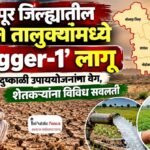 सोलापूर जिल्ह्यातील सर्व ११ तालुक्यांमध्ये ‘Trigger-1’ लागू; दुष्काळी उपाययोजनांना वेग, शेतकऱ्यांना विविध सवलती