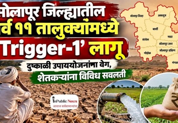 सोलापूर जिल्ह्यातील सर्व ११ तालुक्यांमध्ये ‘Trigger-1’ लागू; दुष्काळी उपाययोजनांना वेग, शेतकऱ्यांना विविध सवलती