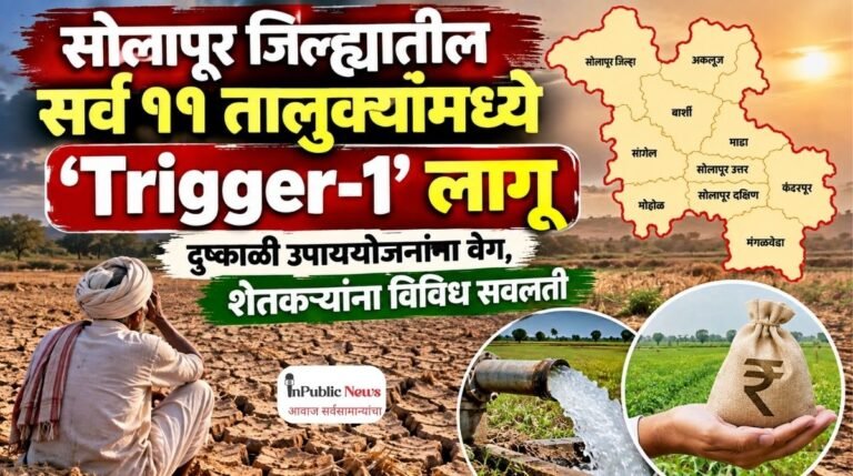 सोलापूर जिल्ह्यातील सर्व ११ तालुक्यांमध्ये ‘Trigger-1’ लागू; दुष्काळी उपाययोजनांना वेग, शेतकऱ्यांना विविध सवलती