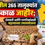 राज्यातील 265 तालुक्यांत दुष्काळ जाहीर; शेतकरी आणि नागरिकांसाठी  महत्त्वाच्या उपाययोजना