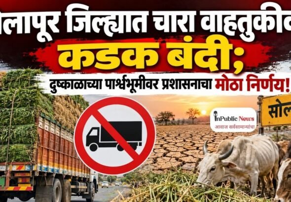 सोलापूर जिल्ह्यात चारा वाहतुकीवर कडक बंदी; दुष्काळाच्या पार्श्वभूमीवर प्रशासनाचा मोठा निर्णय!