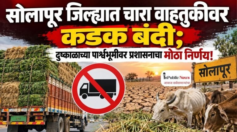 सोलापूर जिल्ह्यात चारा वाहतुकीवर कडक बंदी; दुष्काळाच्या पार्श्वभूमीवर प्रशासनाचा मोठा निर्णय!