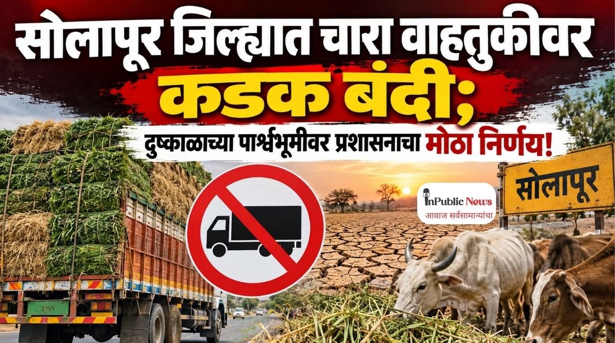 सोलापूर जिल्ह्यात चारा वाहतुकीवर कडक बंदी; दुष्काळाच्या पार्श्वभूमीवर प्रशासनाचा मोठा निर्णय!